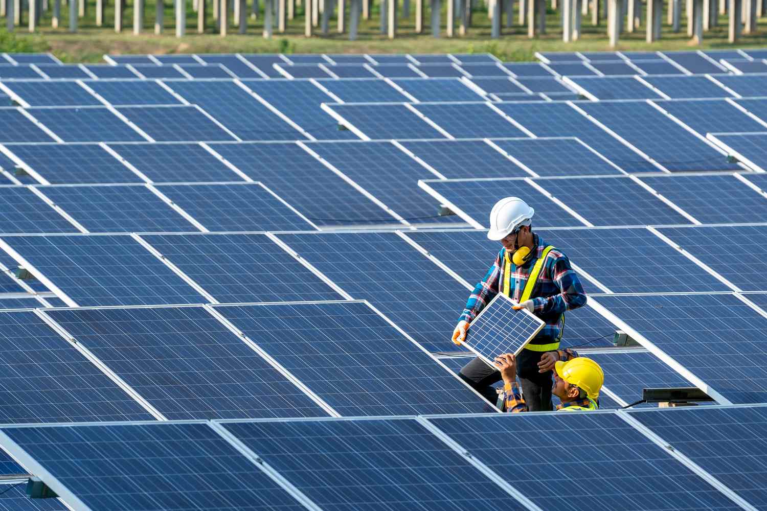 What to Look For in a Solar Panel Company​